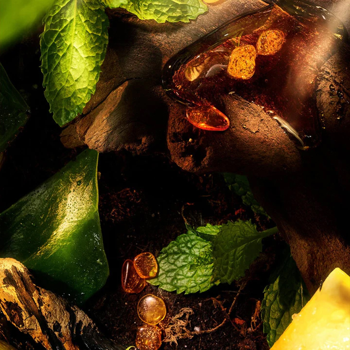 ROJA London - Apex Eau Intense Eau de Parfum