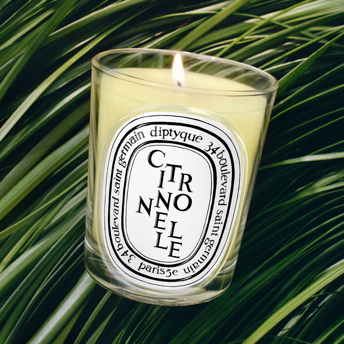 Diptyque - Citronnelle Classic Candle