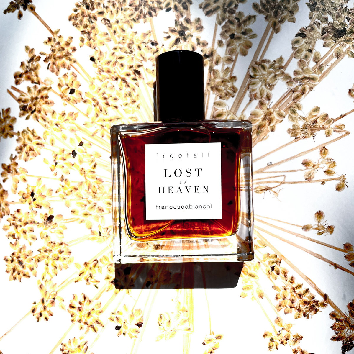 Francesca Bianchi Perfumes - Lost in Heaven Extrait de Parfum