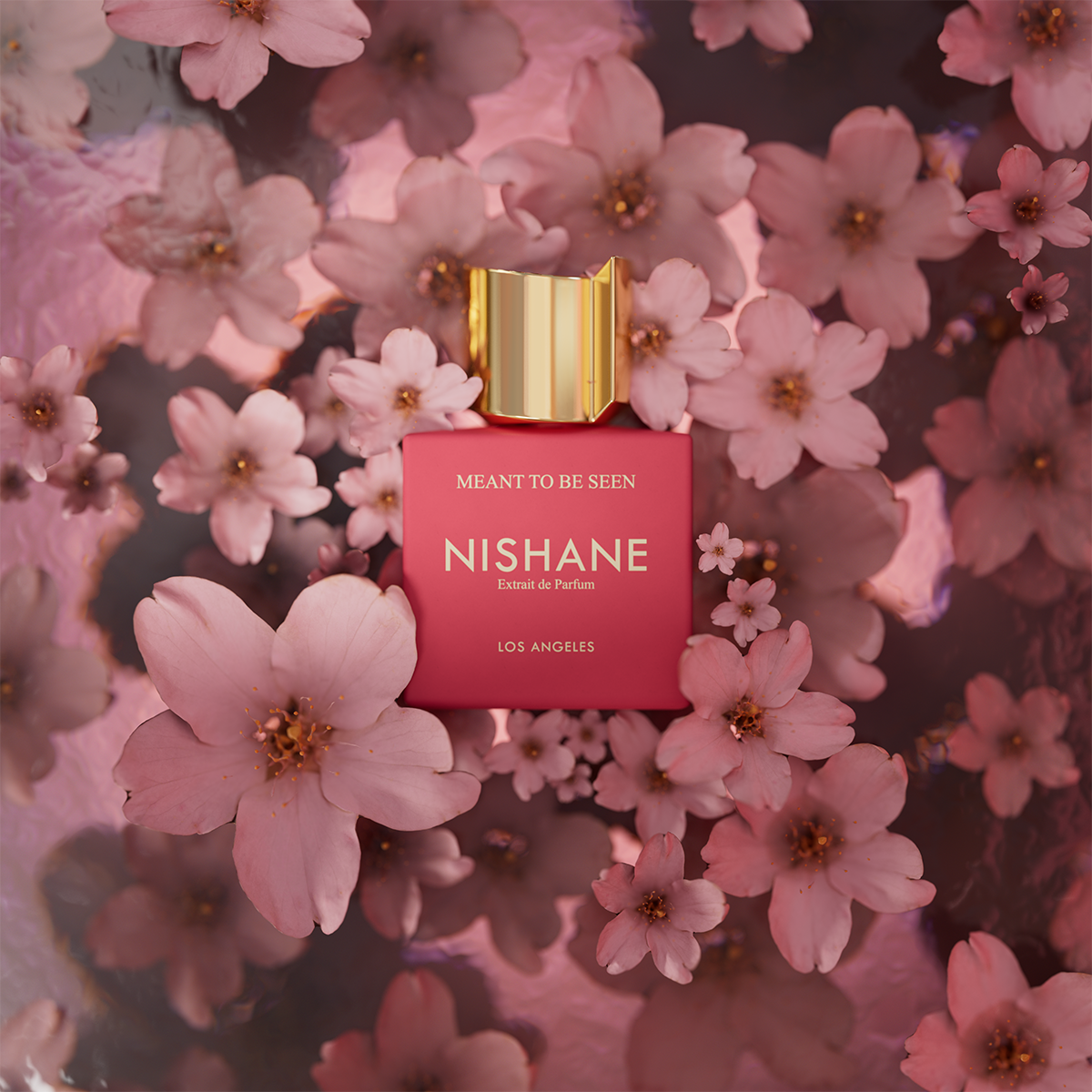 Nishane - Meant To Be Seen Extrait de Parfum