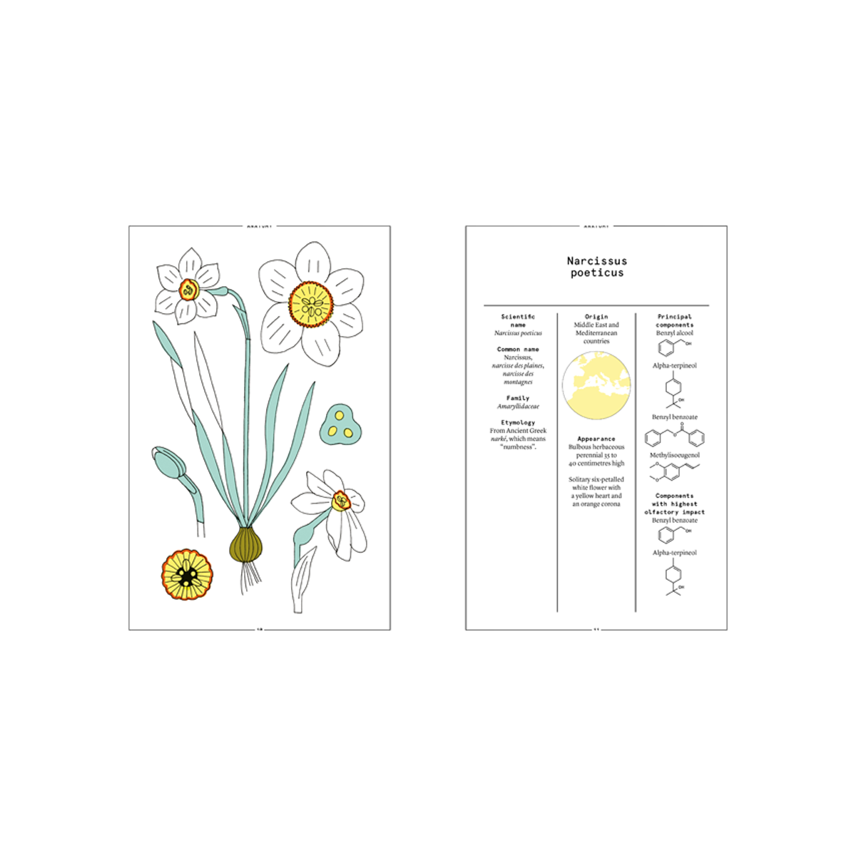 By Nez - Collective Narcissus In Perfumery