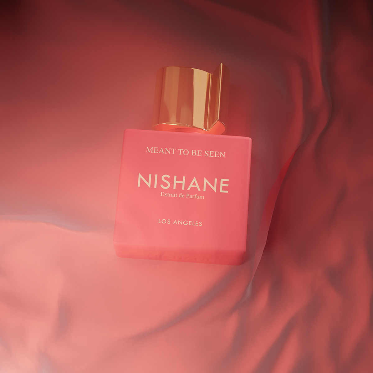 Nishane - Meant To Be Seen Eau de Parfum