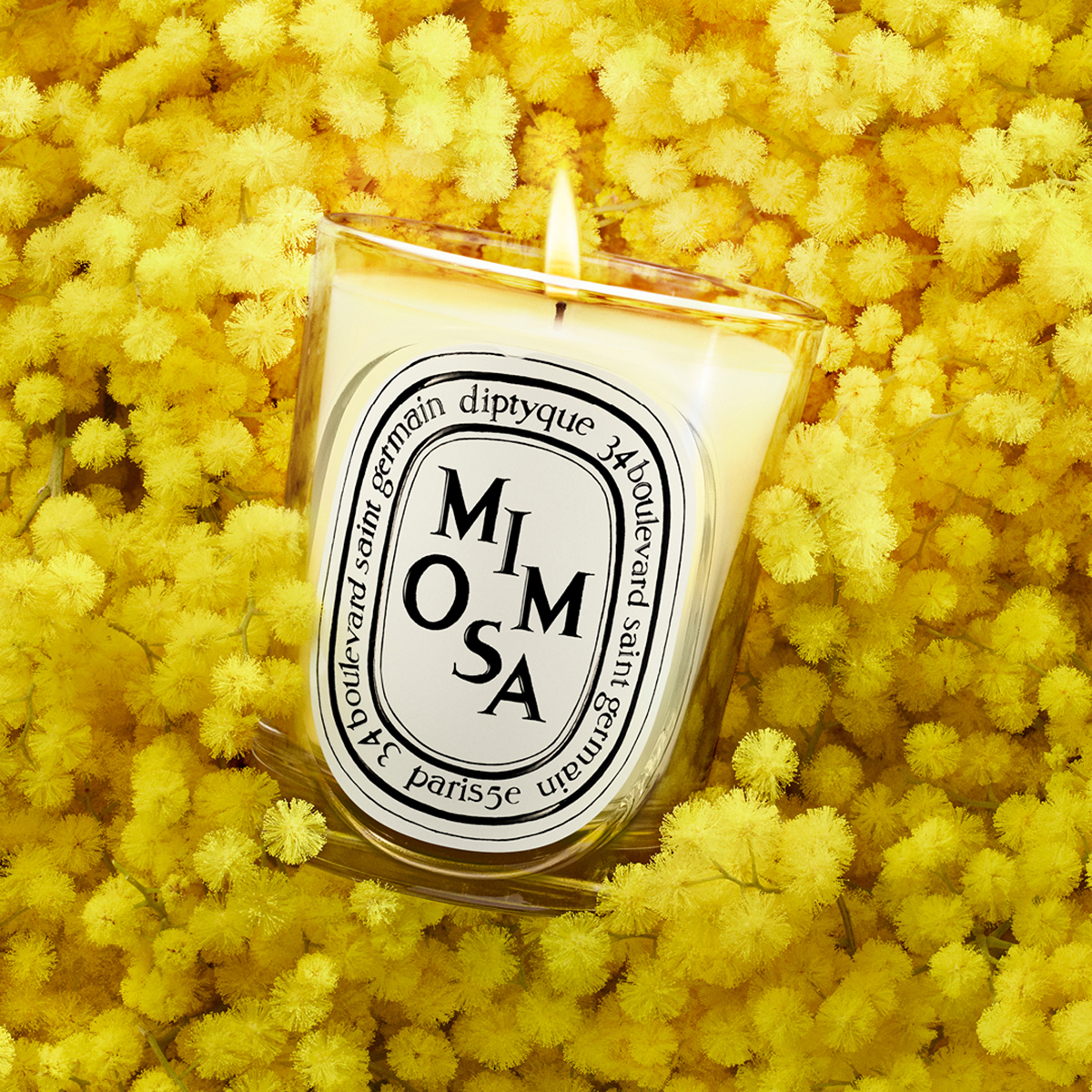 Diptyque - Mimosa Classic Scented Candle