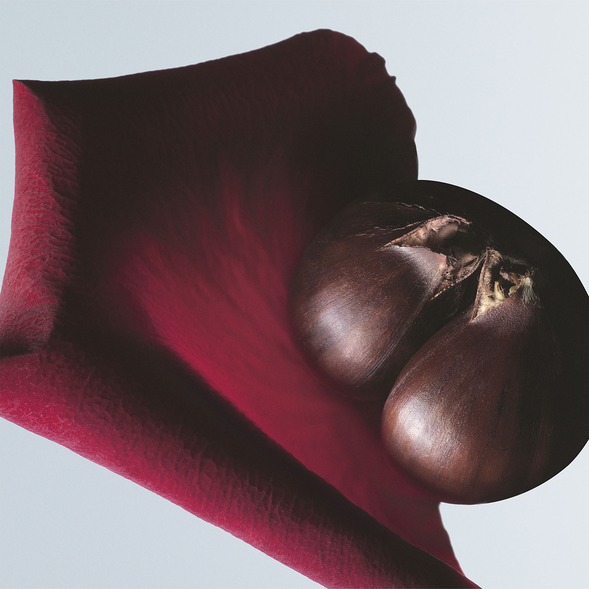 Dries Van Noten - Soie Malaquais Eau de Parfum
