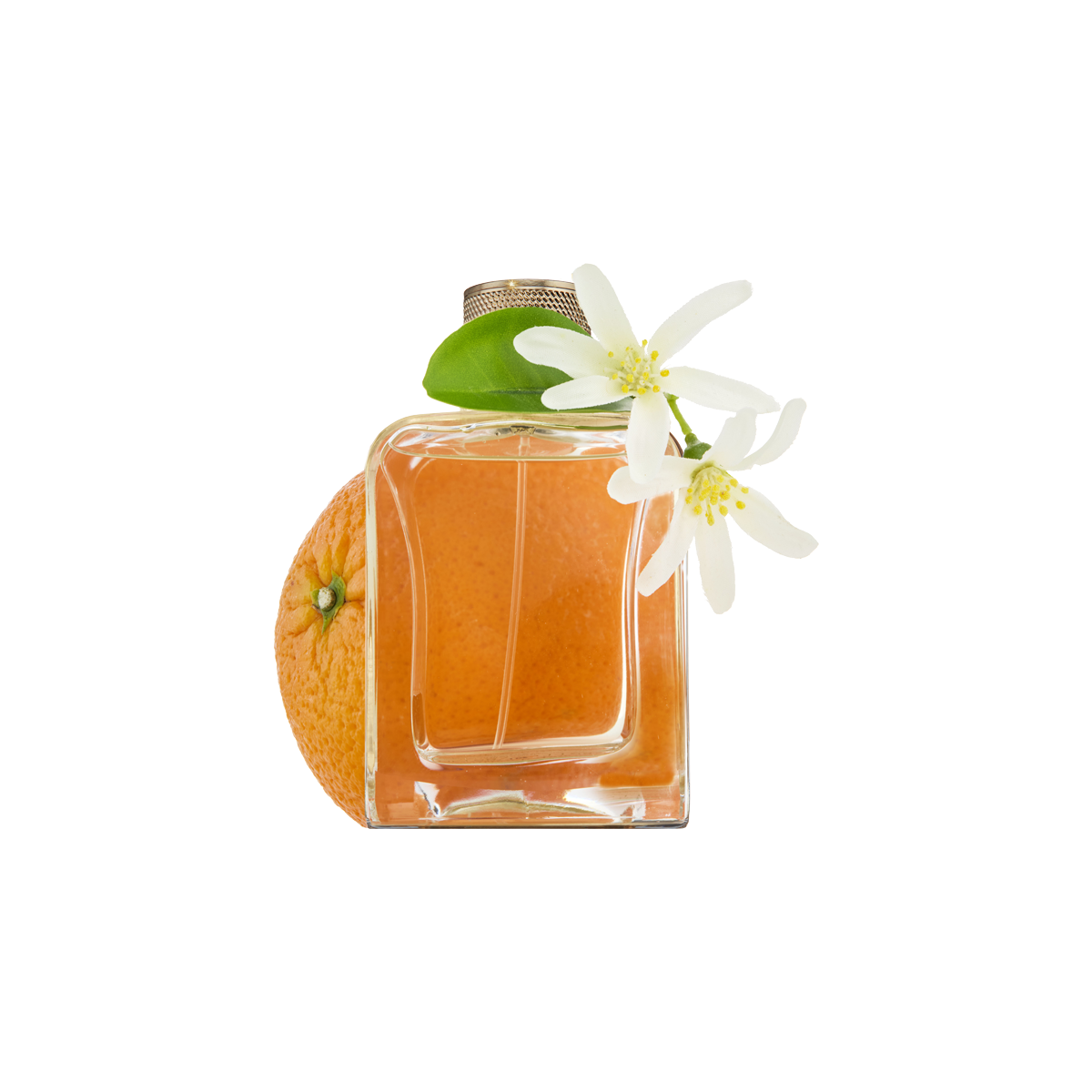 Veronique Gabai - Souvenirs De Tunisie Eau de Parfum