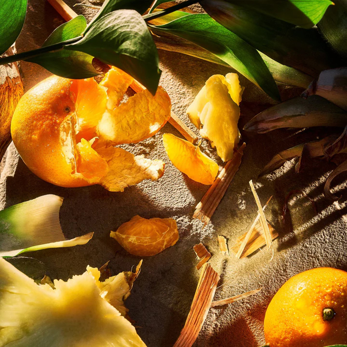 ROJA London - Apex Pour Homme Parfum