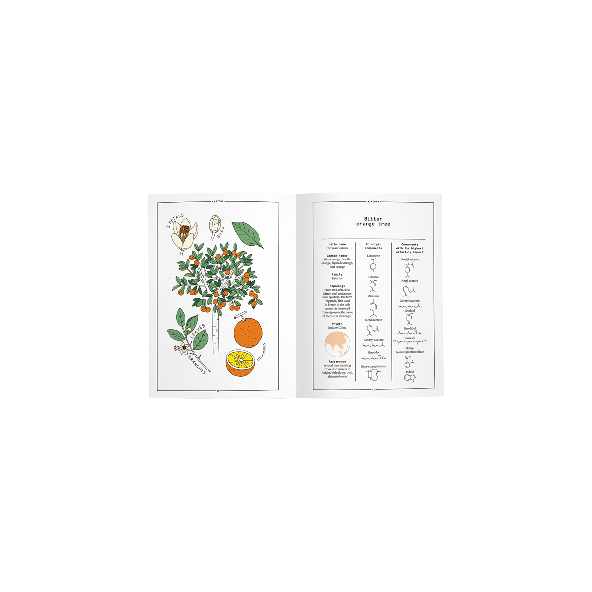By Nez - Collective Orange Blossom In Perfumery