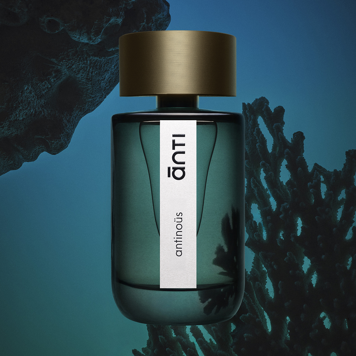 Anti - Antinous Eau de Parfum