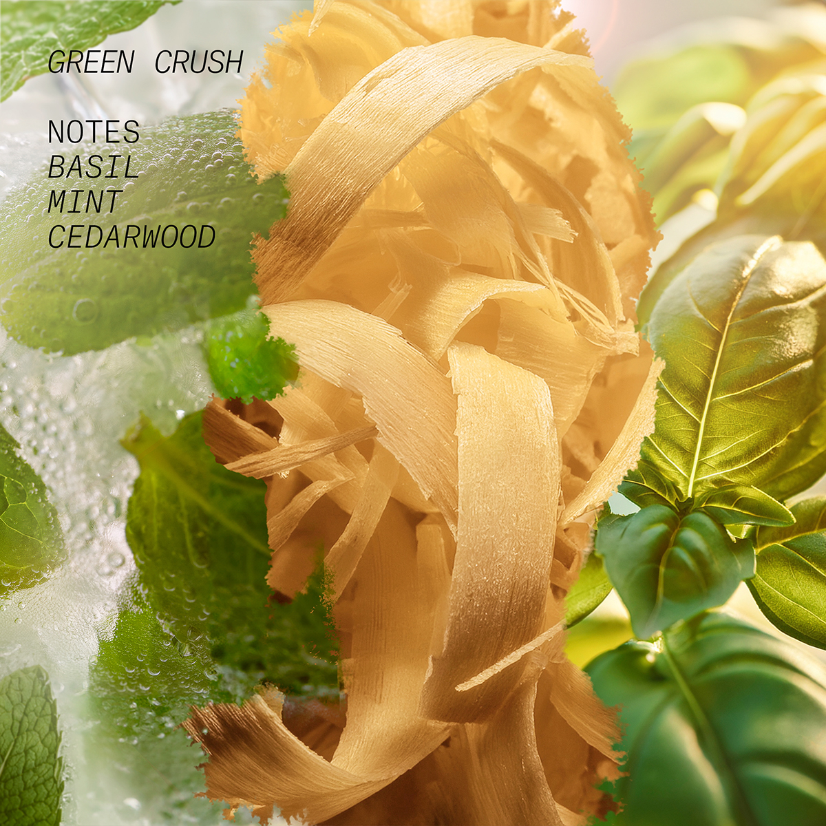 L’atelier Parfum - Green Crush Eau de Parfum