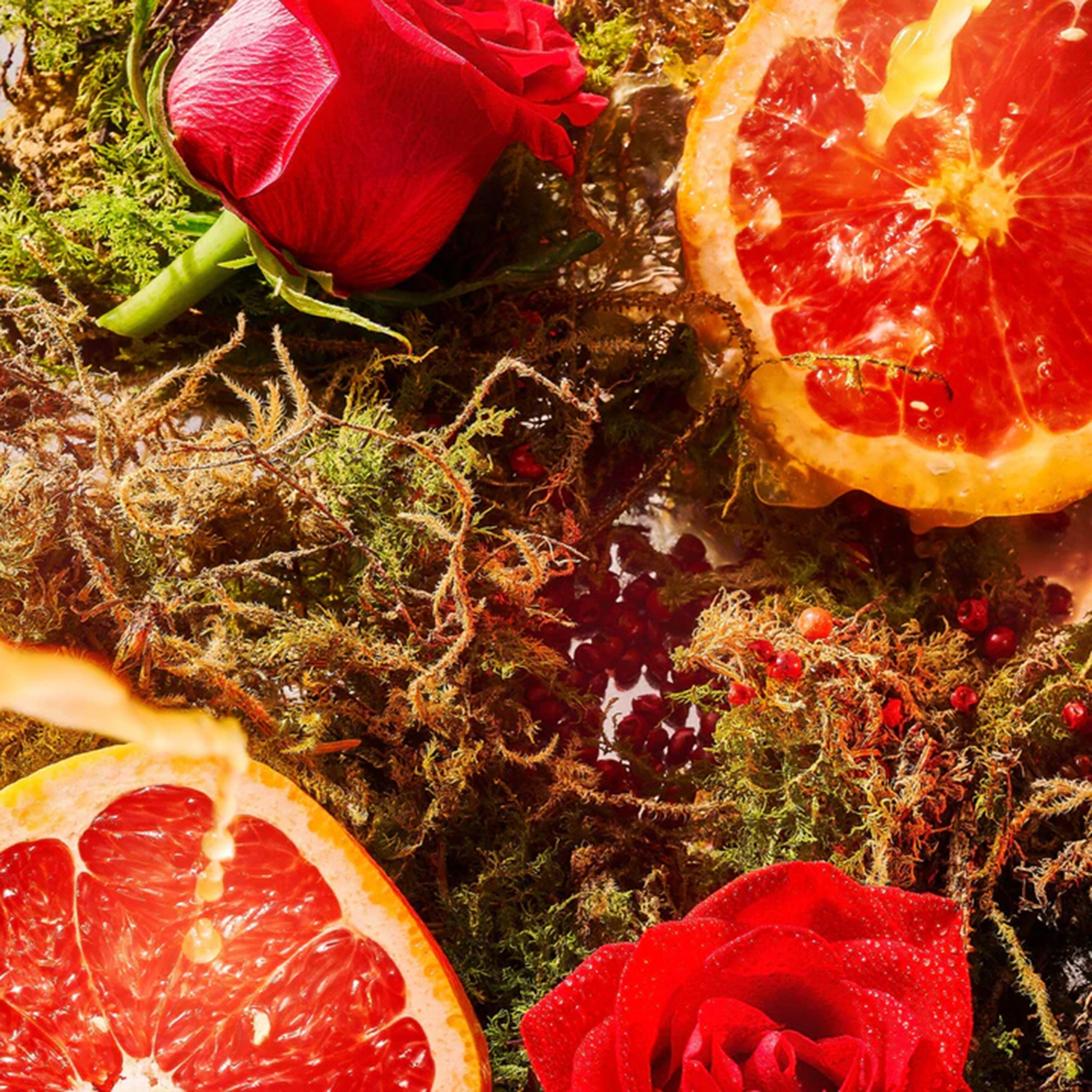 ROJA London - A Midsummer Dream Eau de Parfum