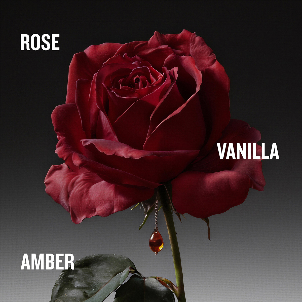 Penhaligon's - Duchess Rose Eau de Parfum Intense