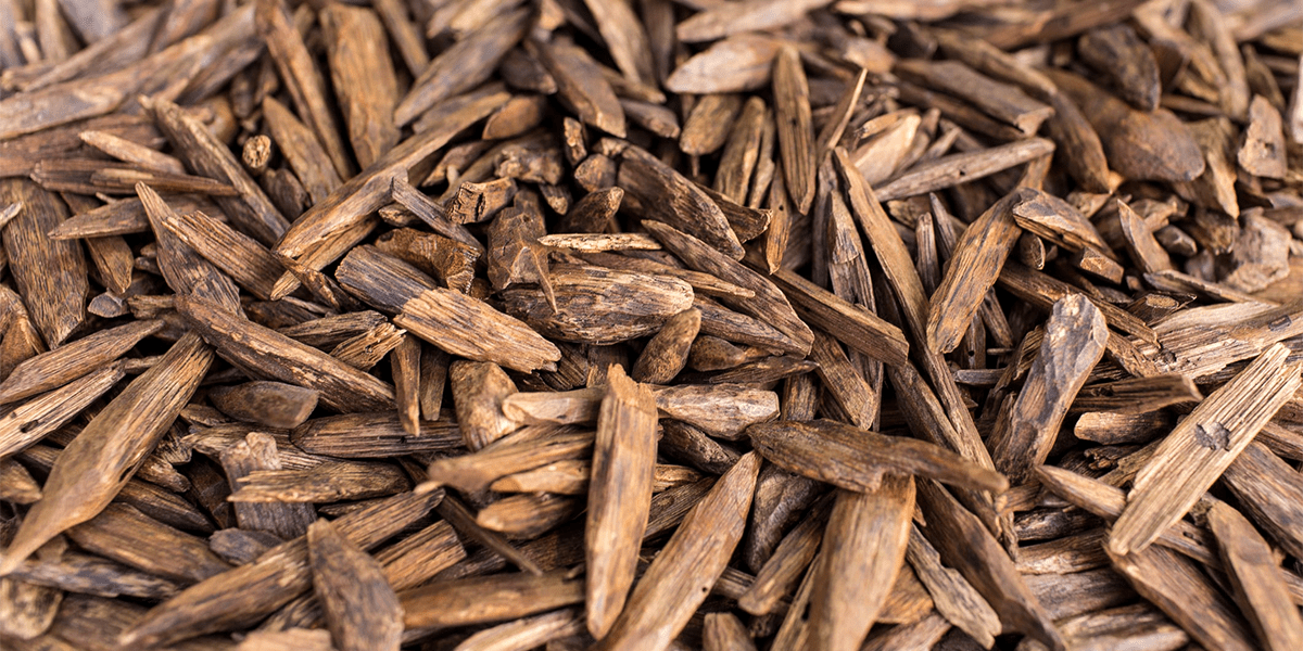 The use of Palo Santo in perfumes