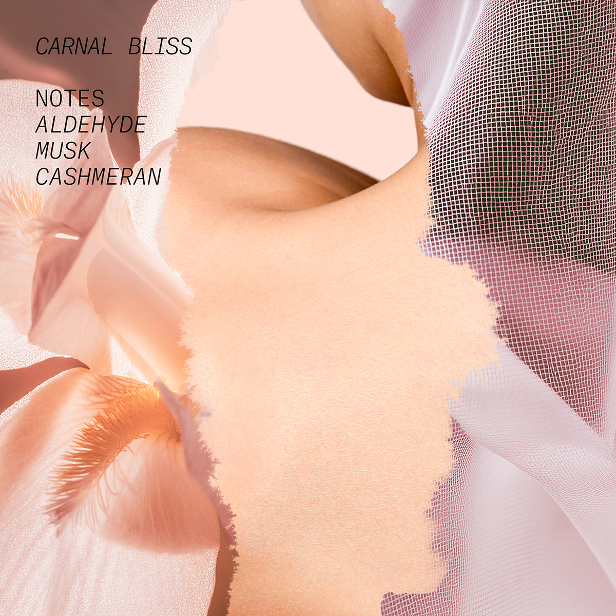 L’atelier Parfum - Carnal Bliss Eau de Parfum