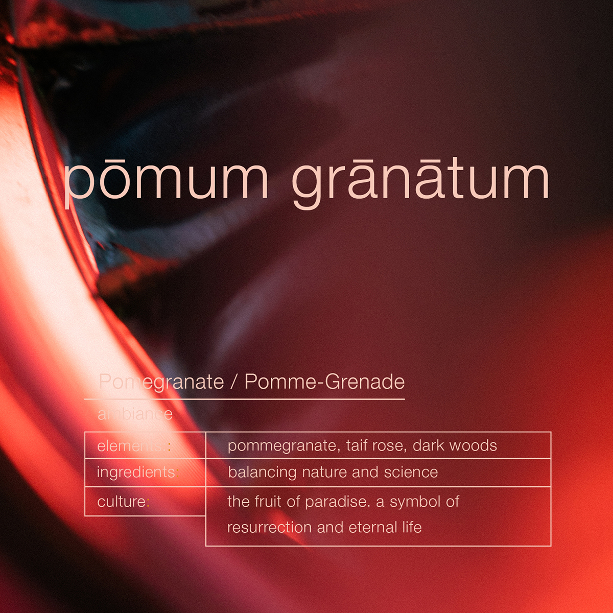 Zenology - Pomum Granatum Ambiance Trigger Spray