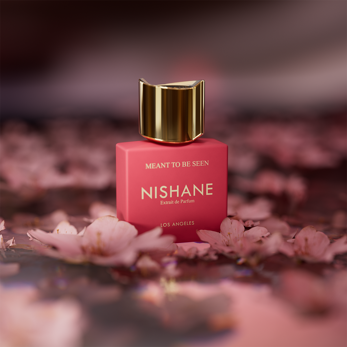 Nishane - Meant To Be Seen Extrait de Parfum