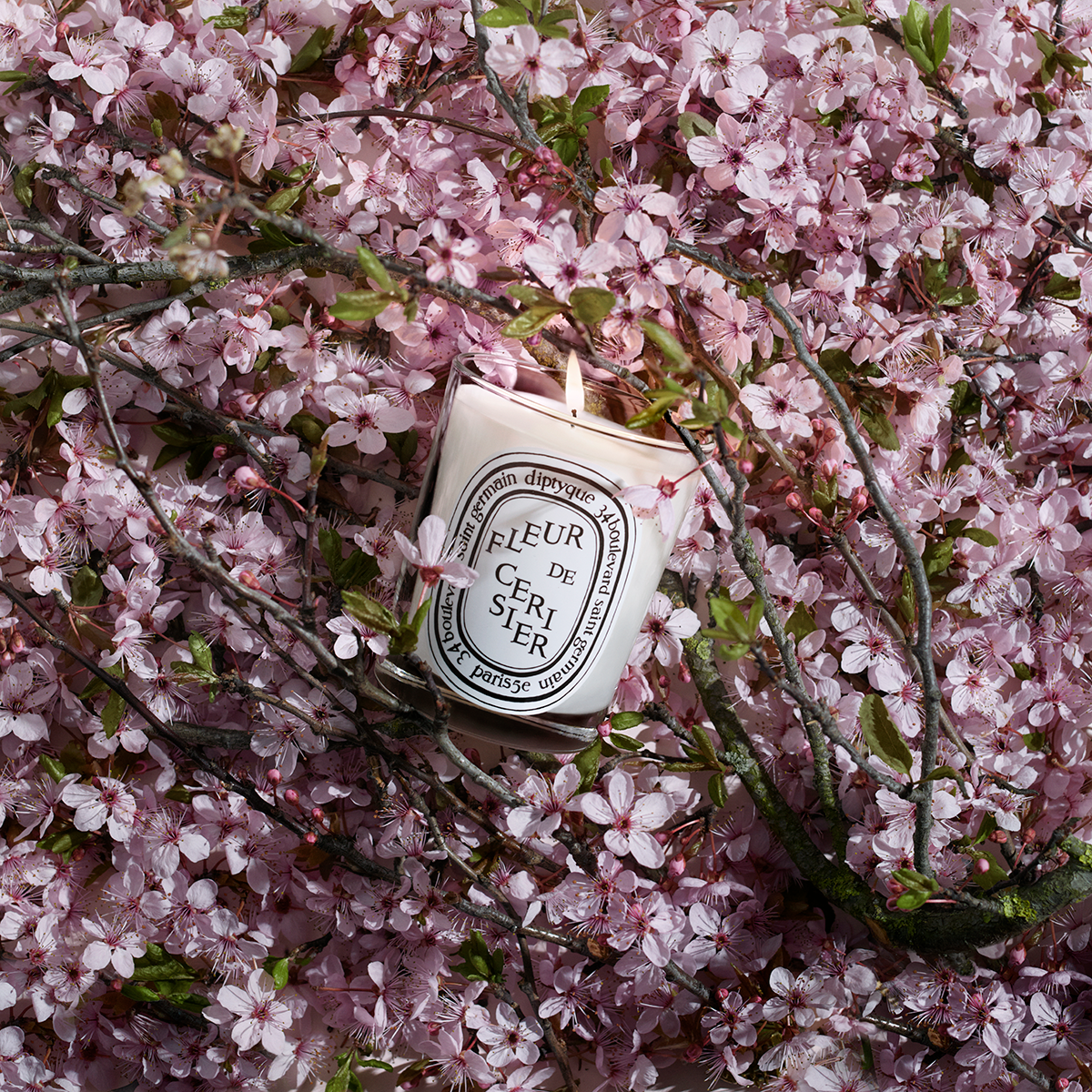 Diptyque - Scented Candle Fleur de Cerisier