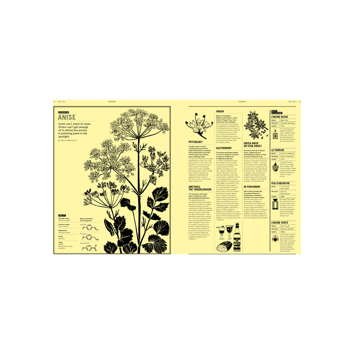 By Nez - The Olfactory Magazine 18 The Color Of Smells