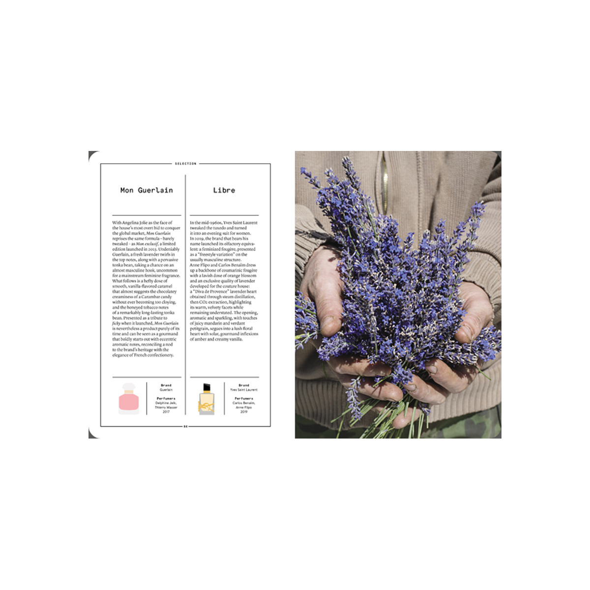 By Nez - Collective Lavender And Lavandin In Perfumery