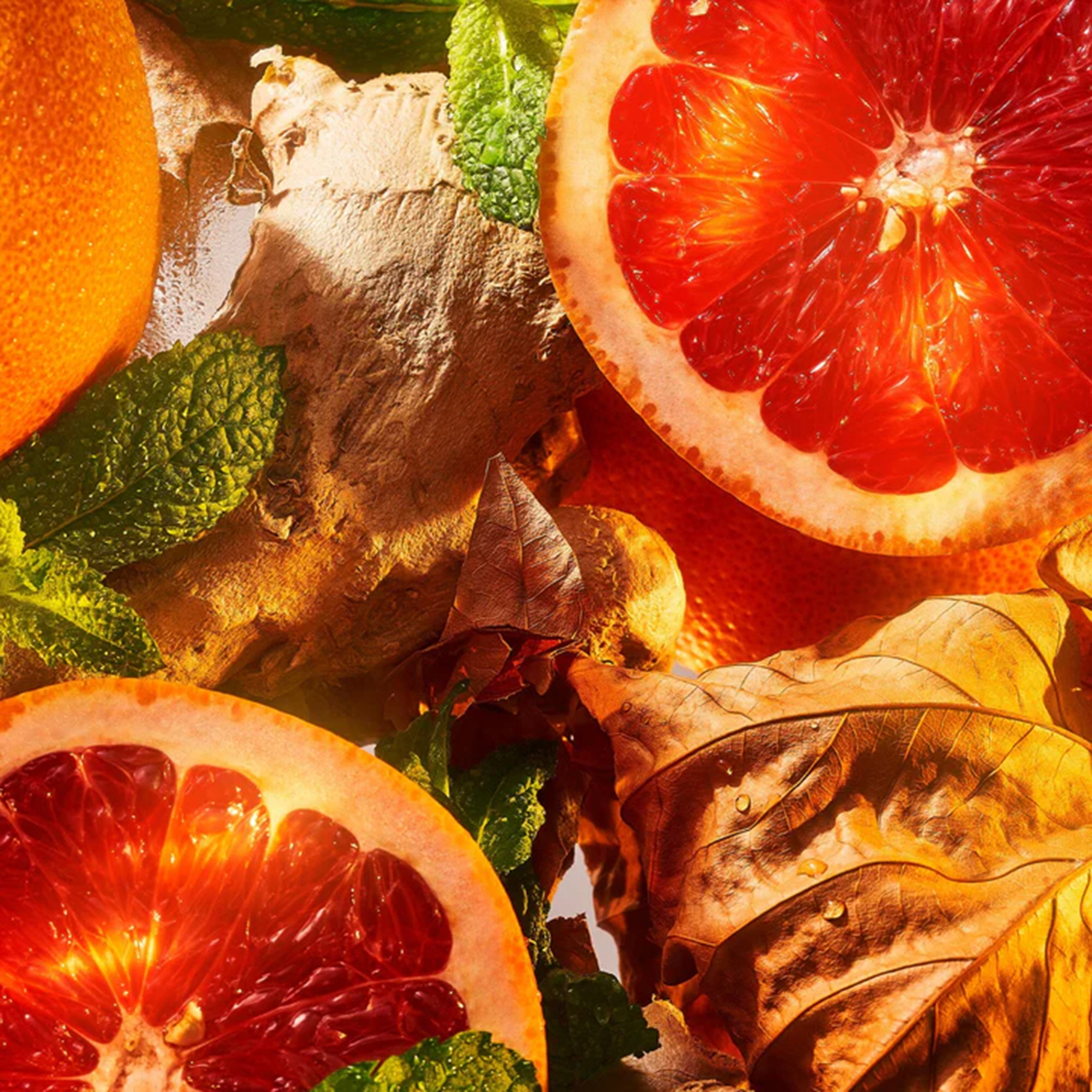 ROJA London - Burlington 1819 Eau de Parfum