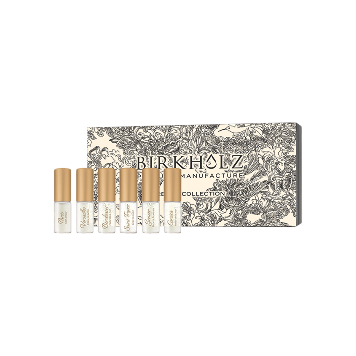 Birkholz - French Discovery Set