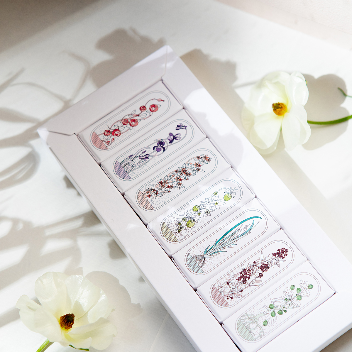 La petite Madeleine - Discover Set