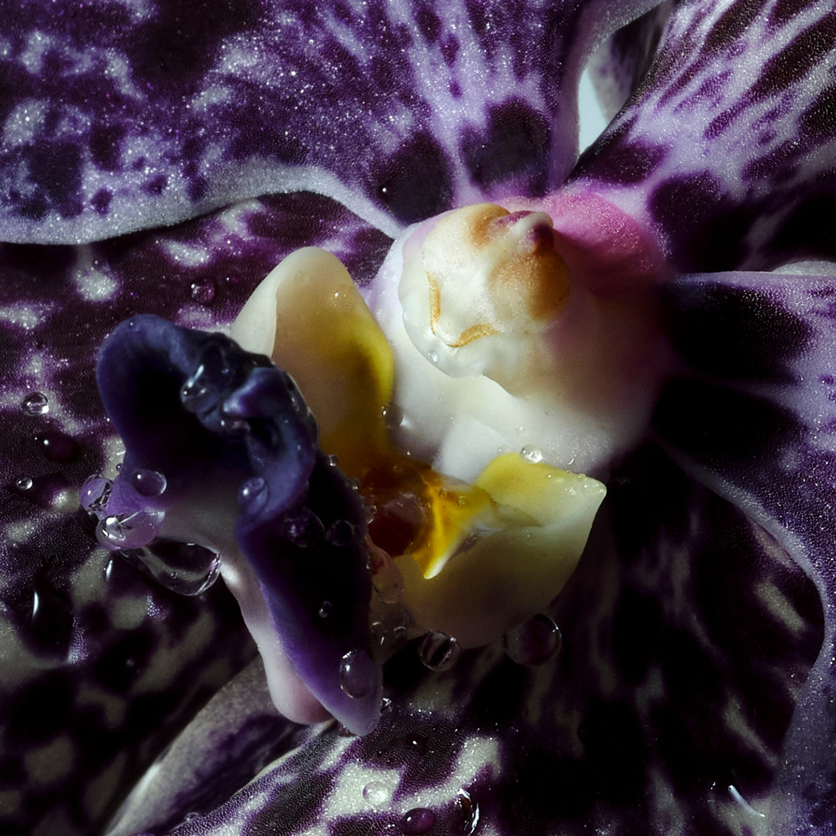 Dries Van Noten - Soie and Amber Hand Cream