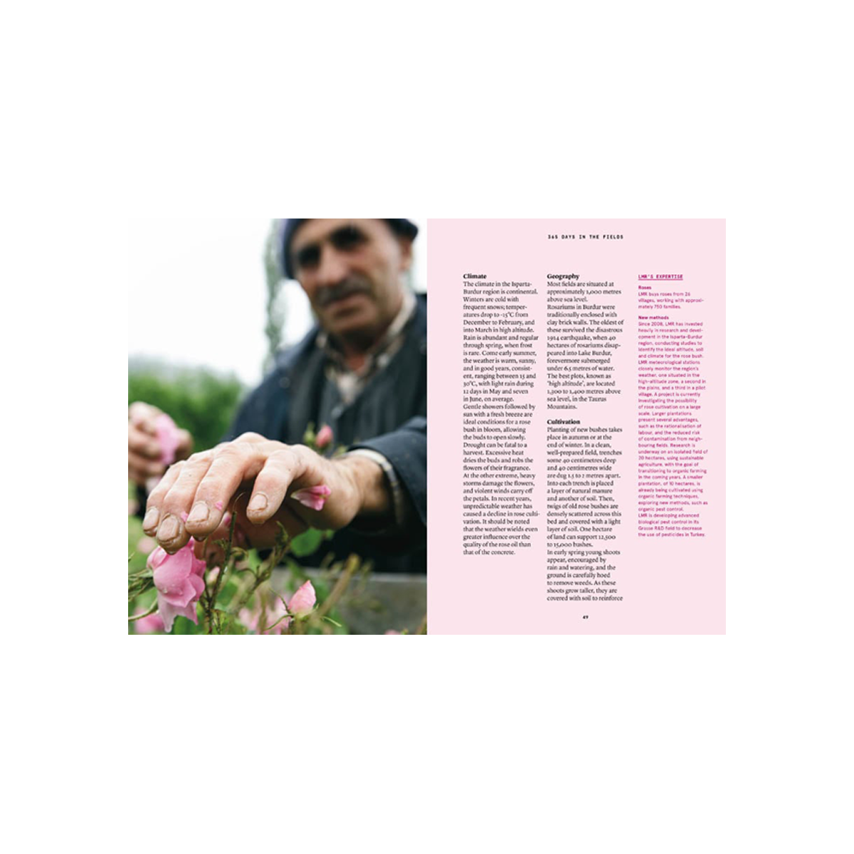 By Nez - Collective Damask Rose In Perfumery