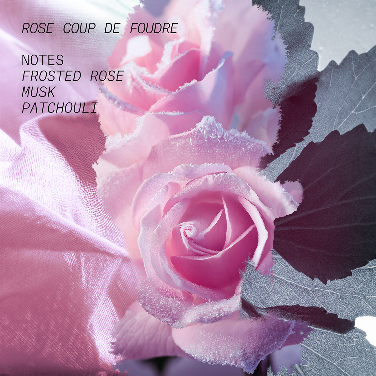 L’atelier Parfum - Rose Coup De Foudre Eau de Parfum