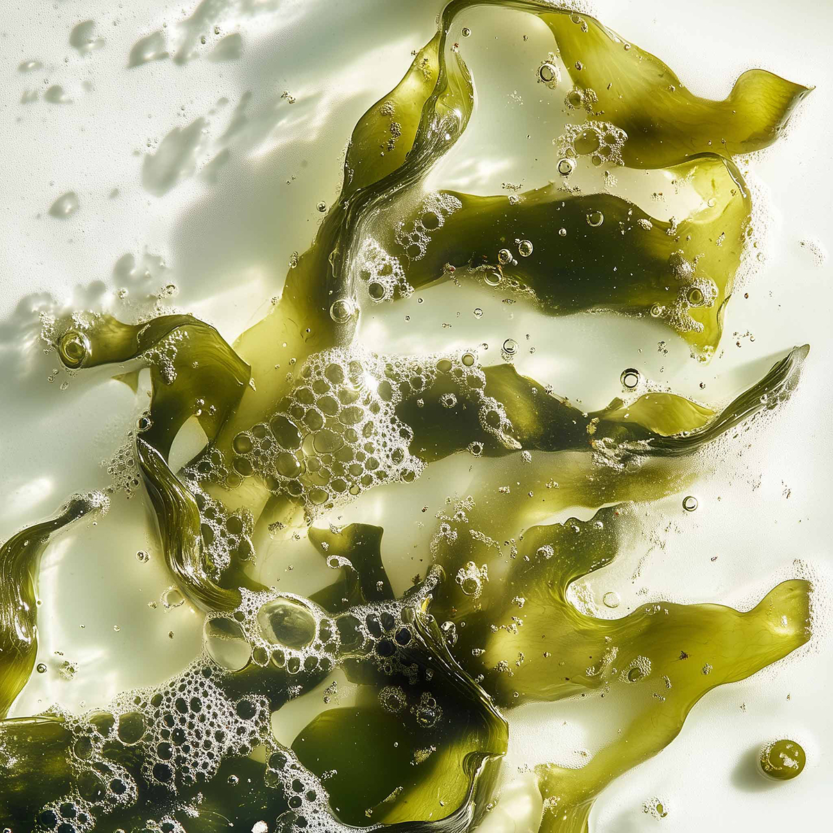 Leonor Greyl - Bain Volumateur Aux Algues