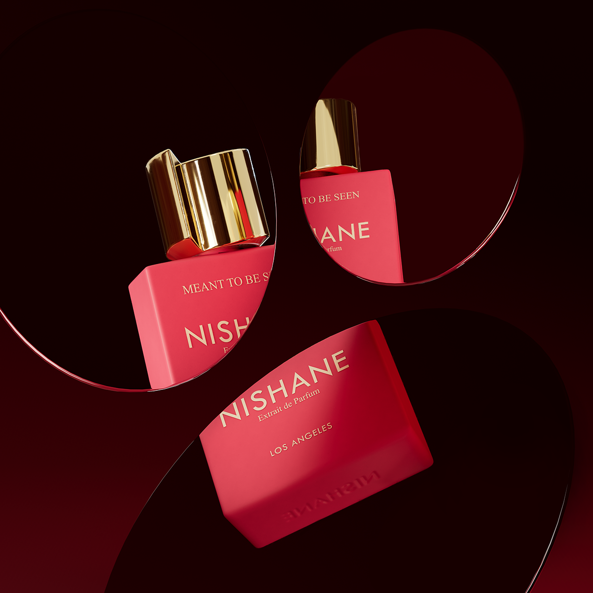 Nishane - Meant To Be Seen Eau de Parfum