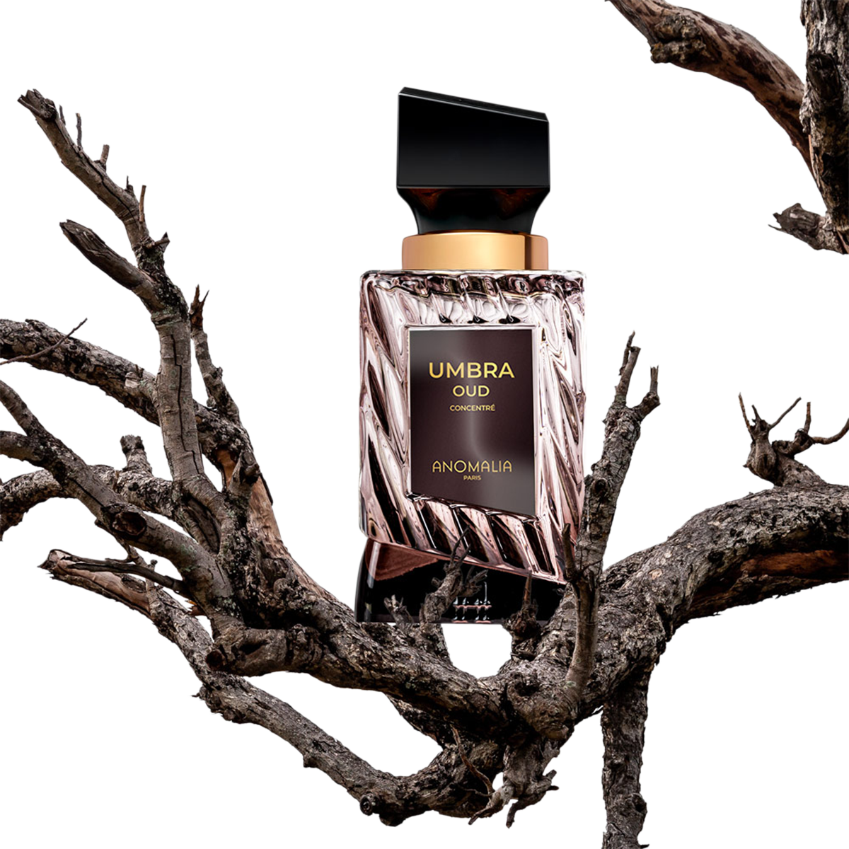 Anomalia Paris - Umbra Oud Concentre Eau de Parfum