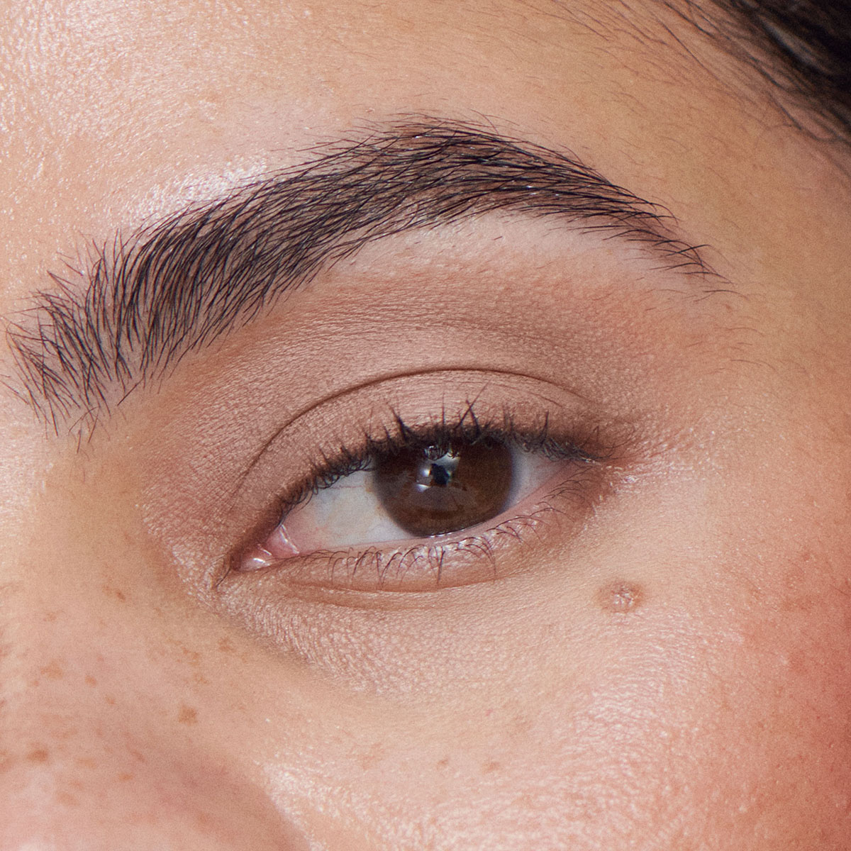 Ilia - Liquid Powder Matte Eye Tint