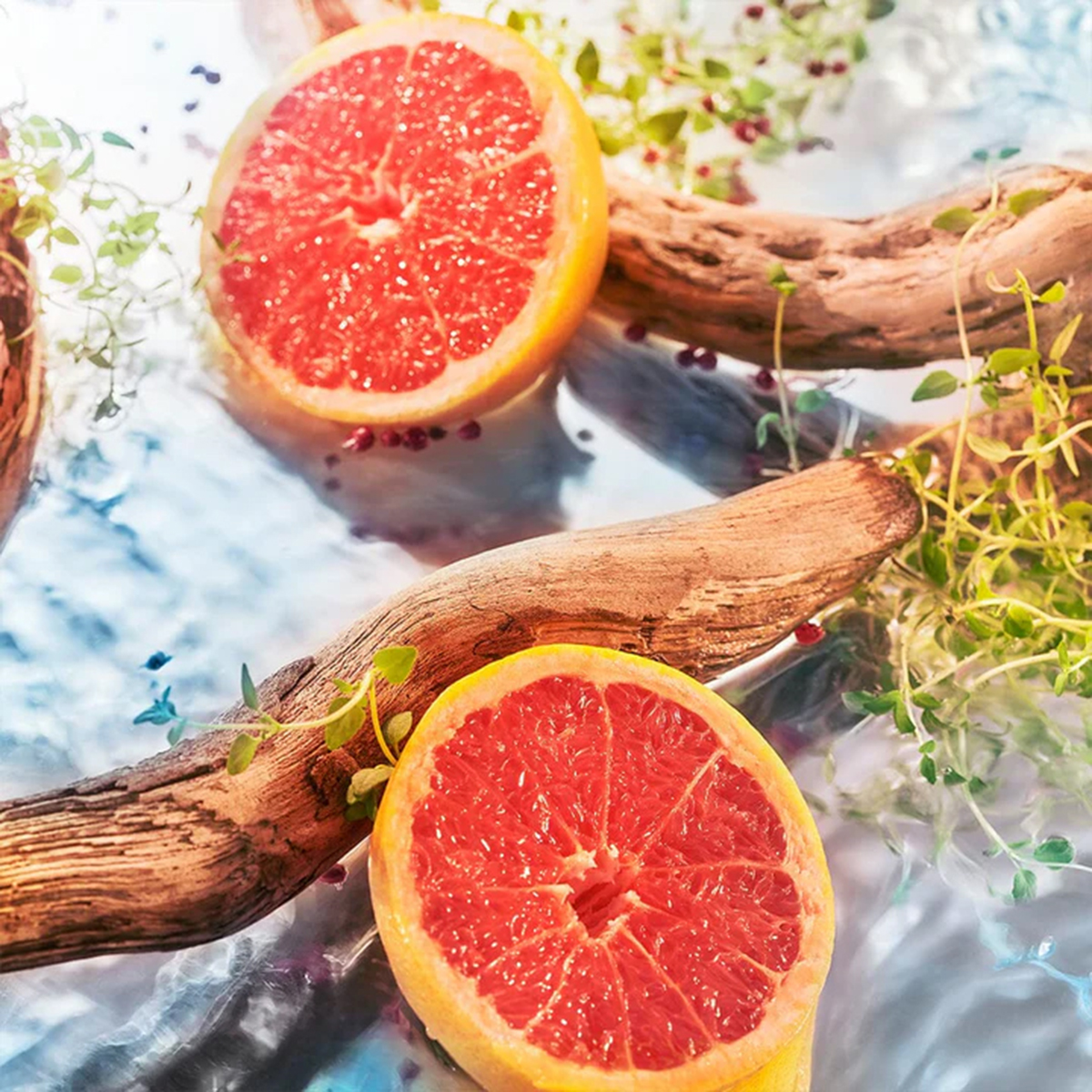 ROJA London - Elysium Pour Homme Parfum