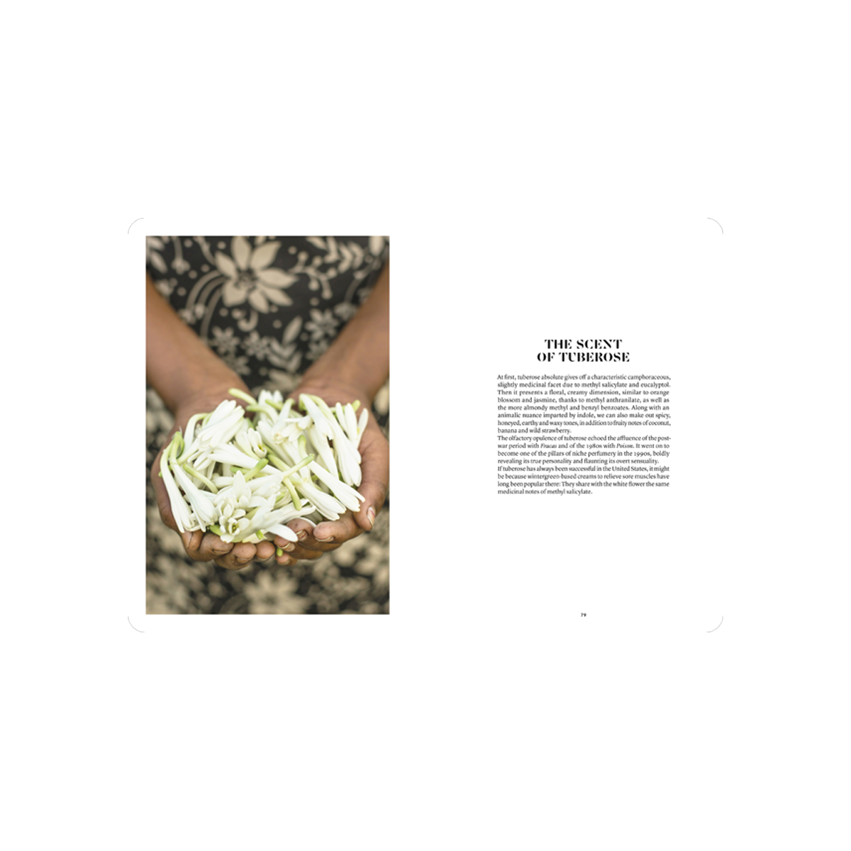 By Nez - Collective Tuberose In Perfumery