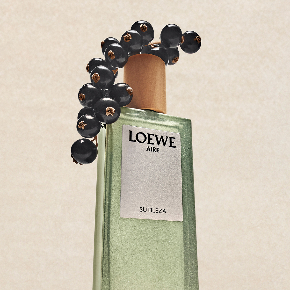 LOEWE - Aire Sutileza Eau de Toilette