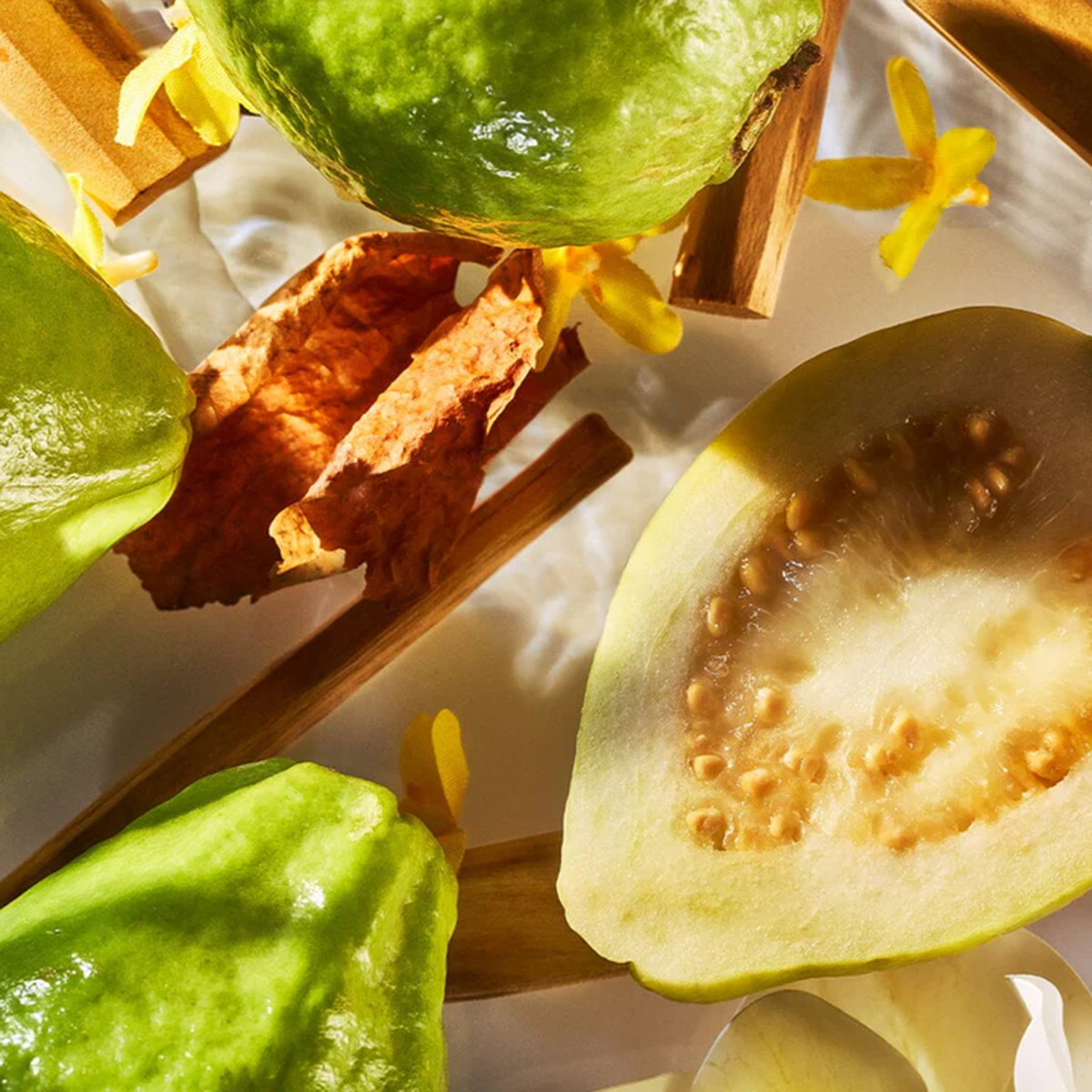 ROJA London - Isola Verde Parfum