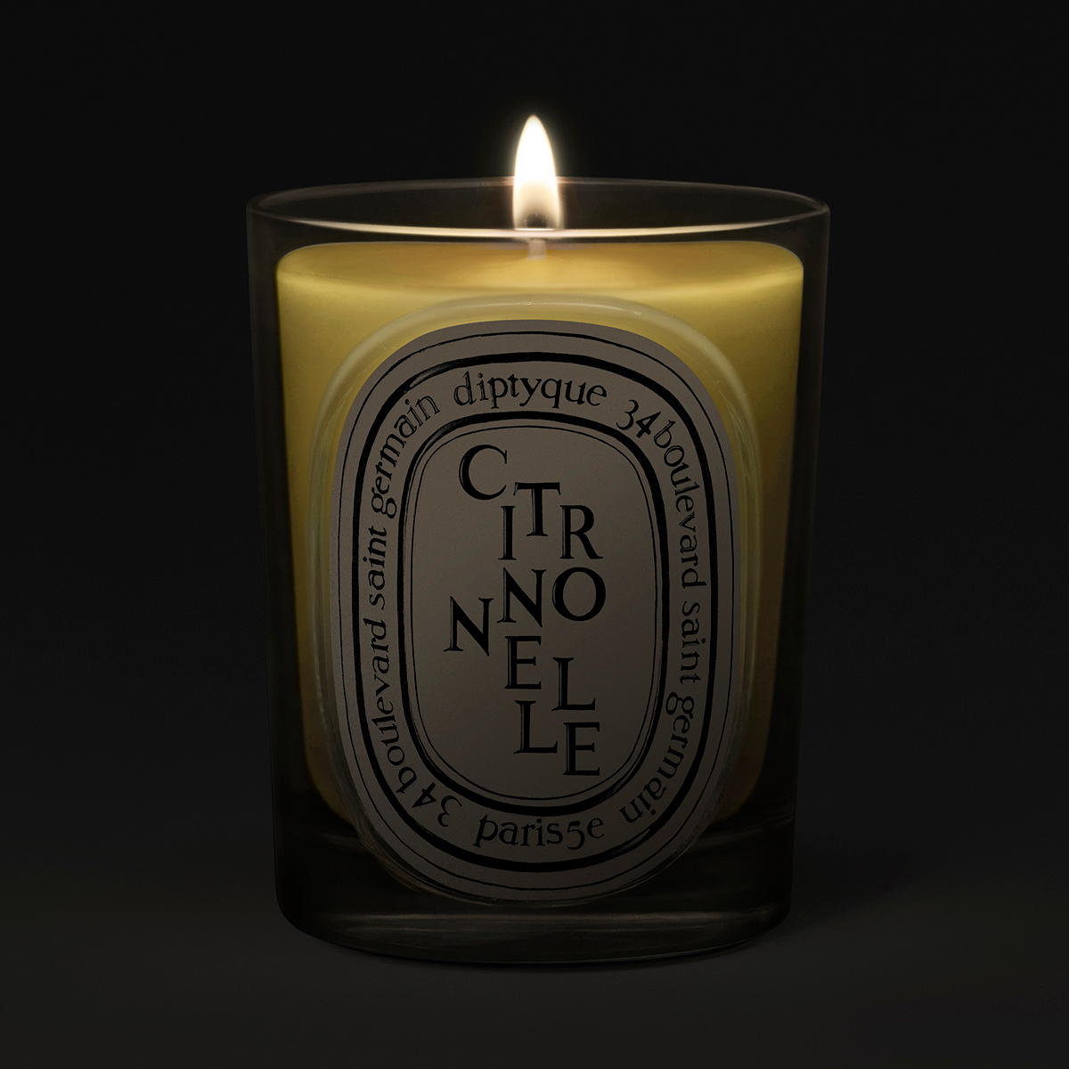 Diptyque - Citronnelle Classic Candle