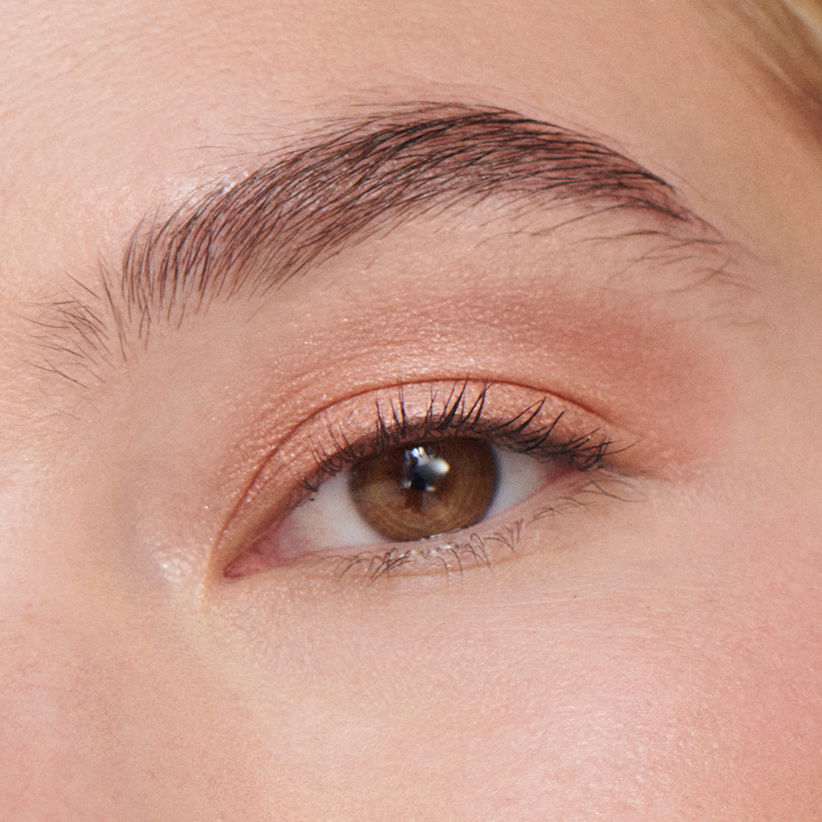 Ilia - Liquid Powder Chromatic Eye Tint