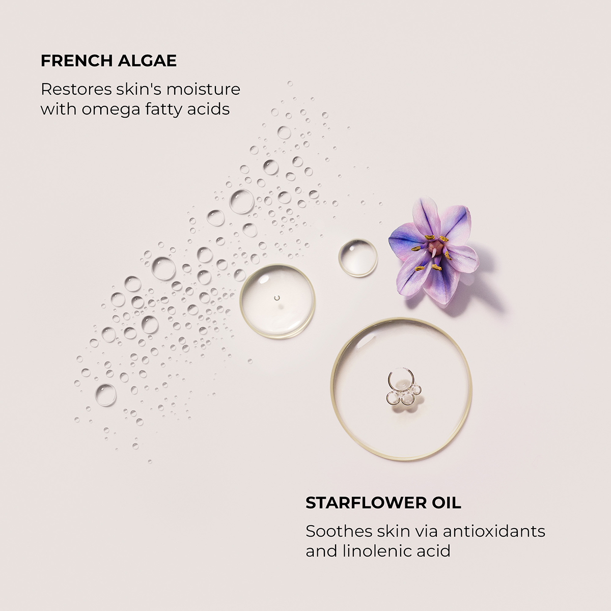 Laura Mercier - Hand Cream Ambre Vanille
