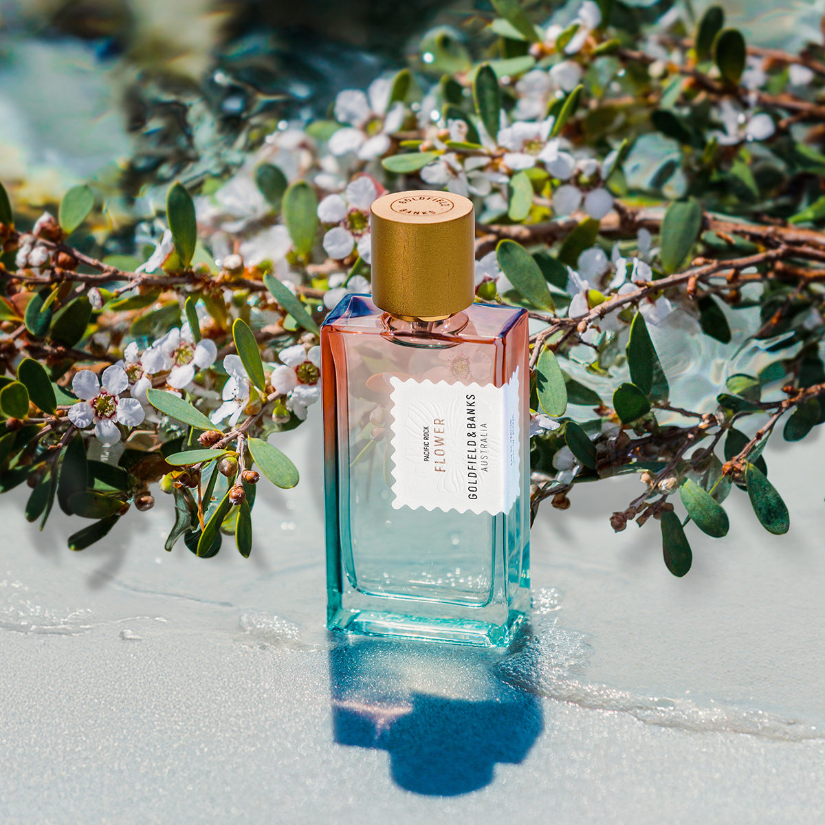 Flowers Tiempe Passate Antonia's Flowers Parfum Kaufen Sogni