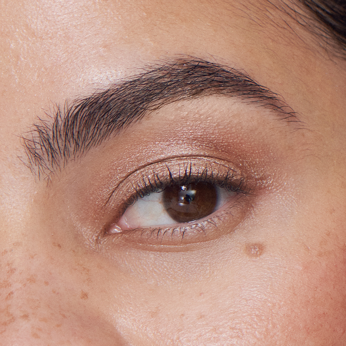 Ilia - Liquid Powder Chromatic Eye Tint