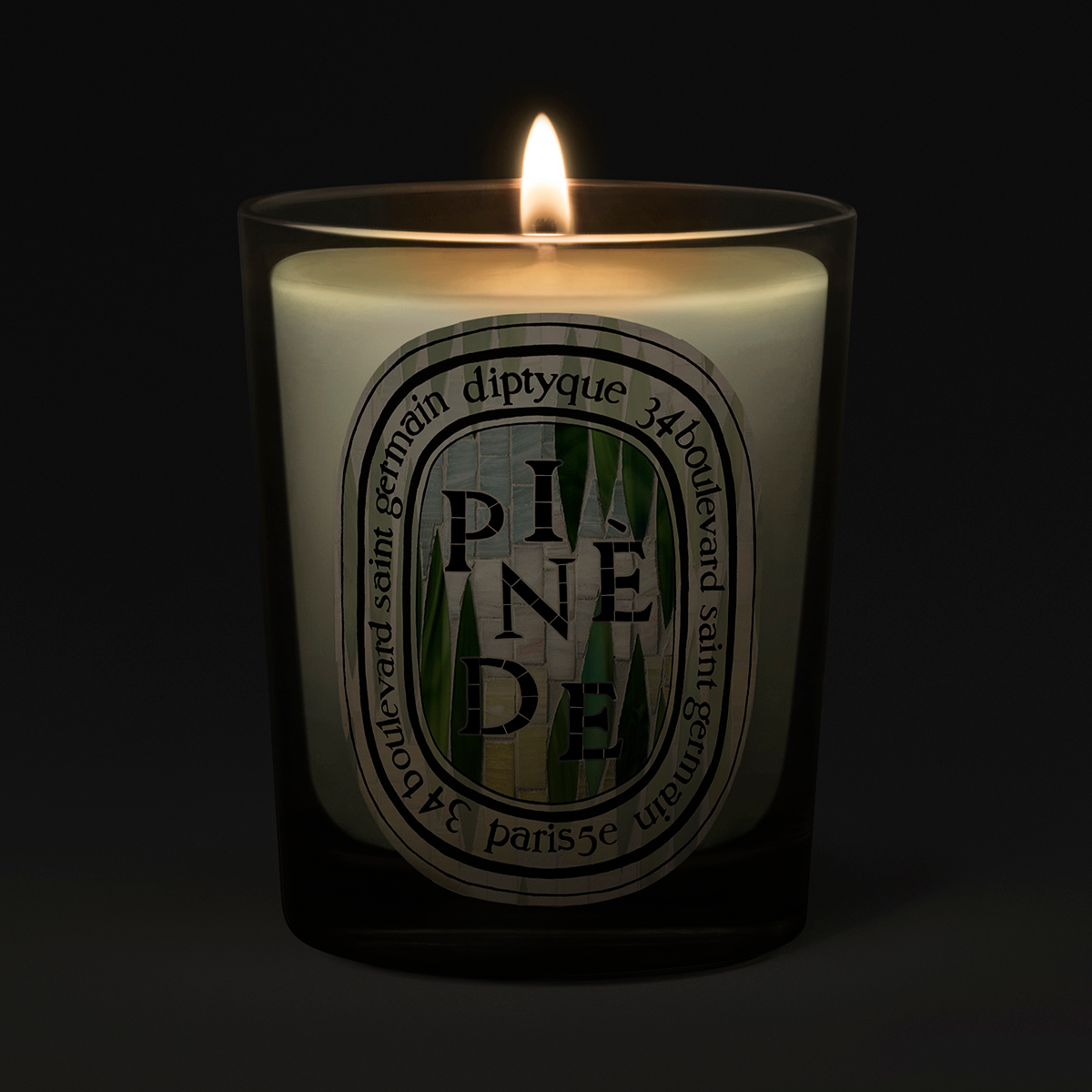 Diptyque - Pinede Classic Candle Limited Edition