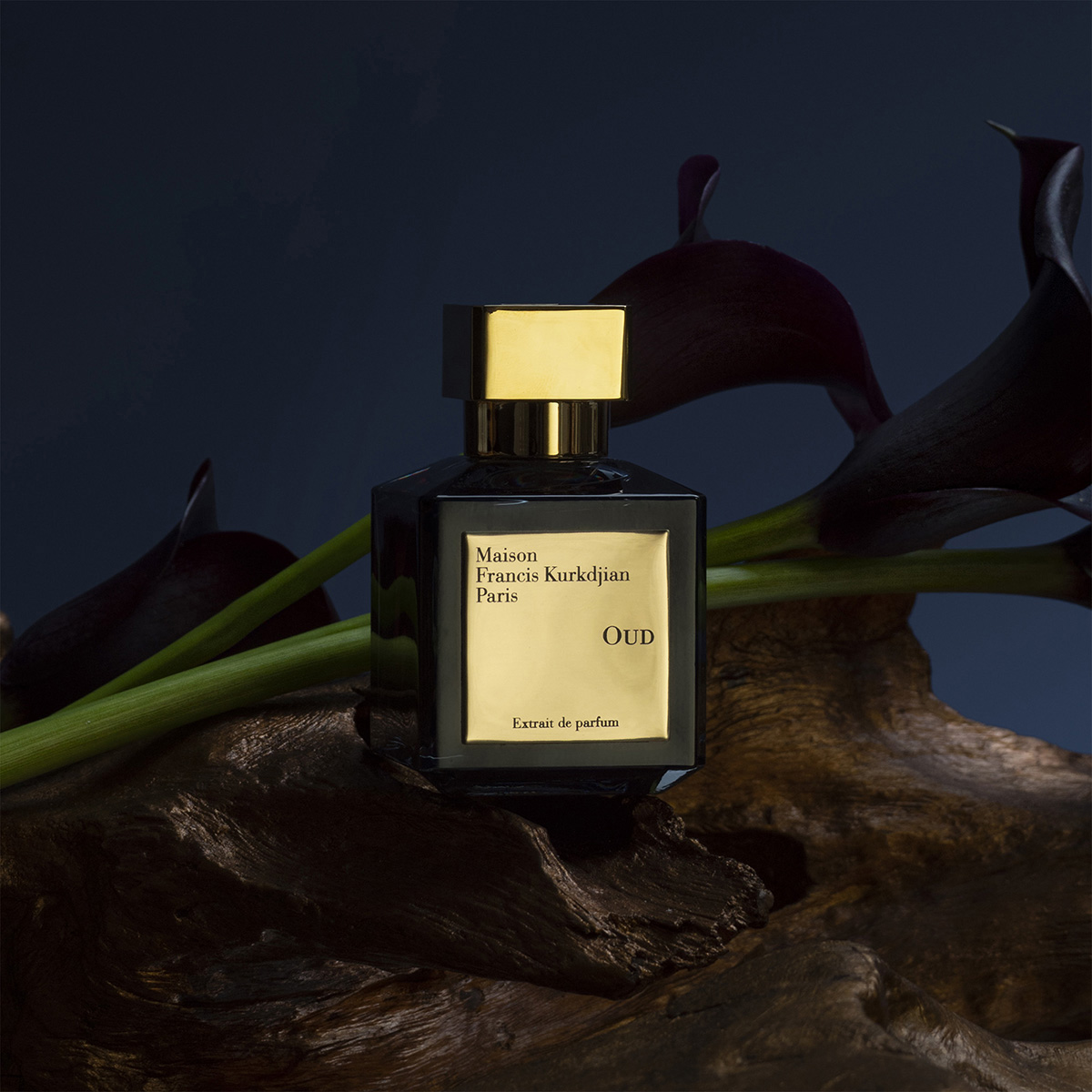 Maison Francis Kurkdjian - Oud Extrait De Parfum