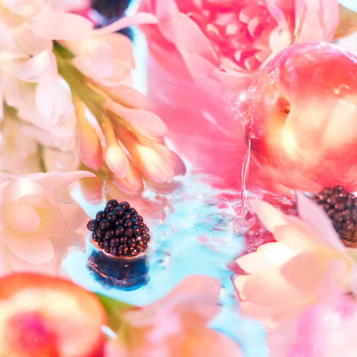 Roja Parfums - Elysium Pour Femme Parfum