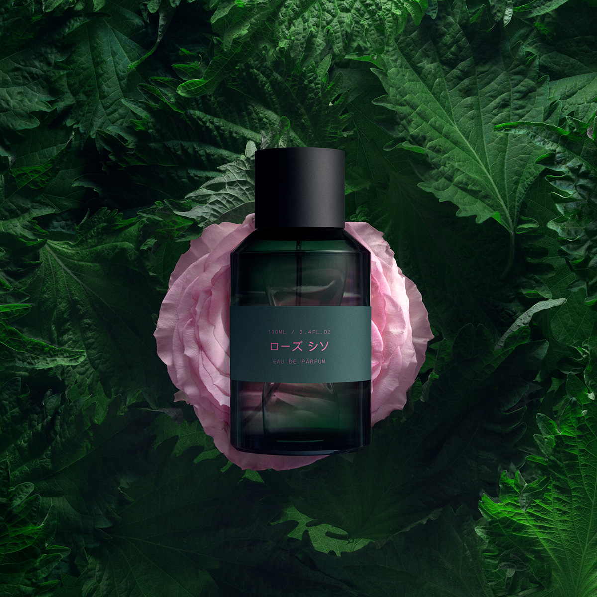 MarieJeanne - Rose Shiso Eau de Parfum