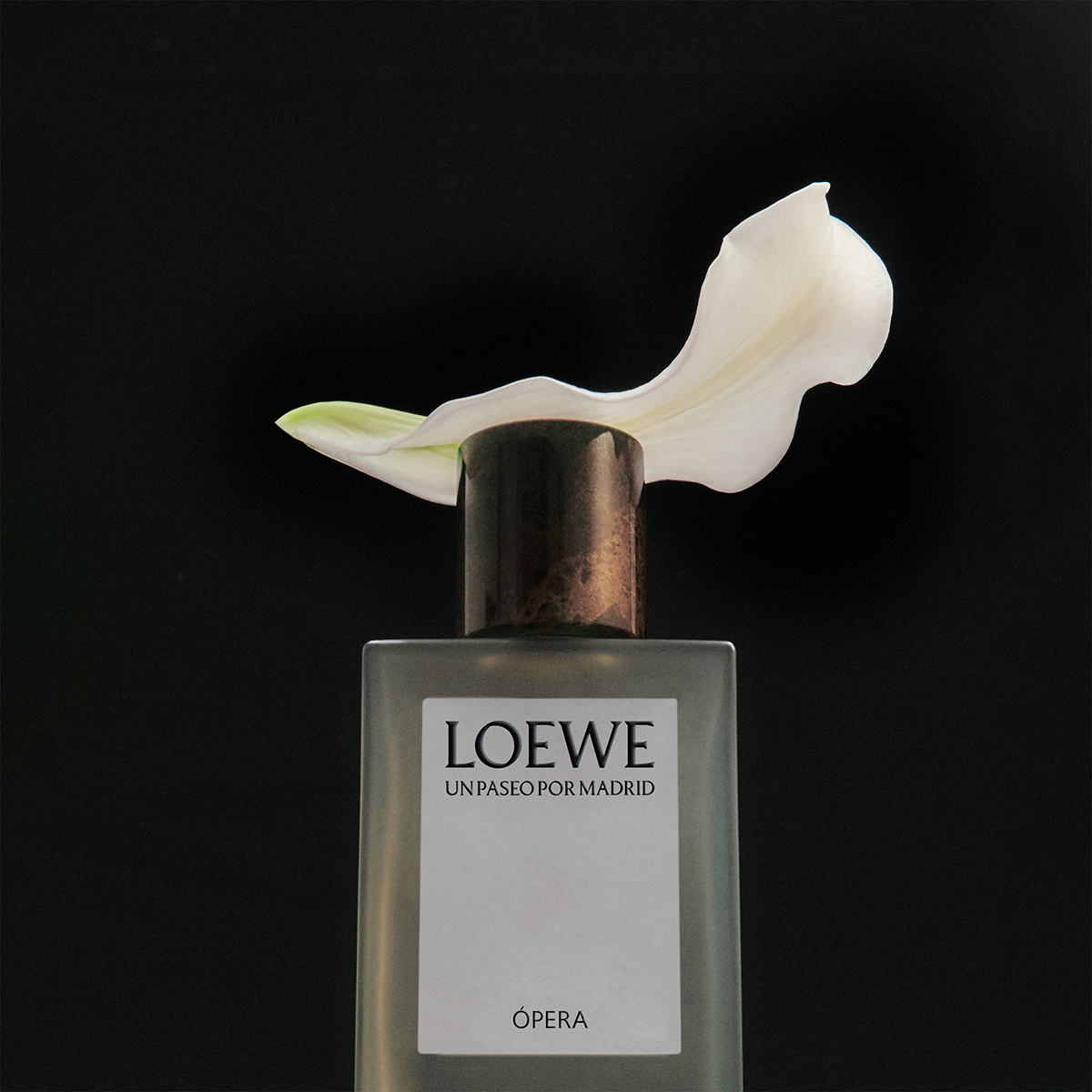 LOEWE Opera En El Teatro Real Eau de Parfum 100ml - Skins LOEWE Opera En El Teatro Real Eau de Parfum 100ml - Skins