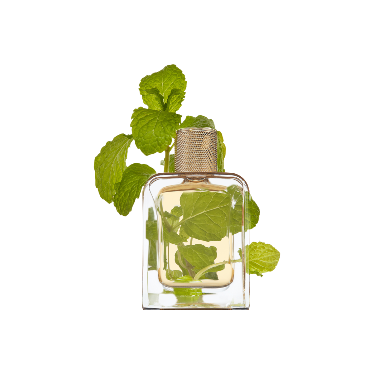 Veronique Gabai - Vert Desir Eau de Parfum