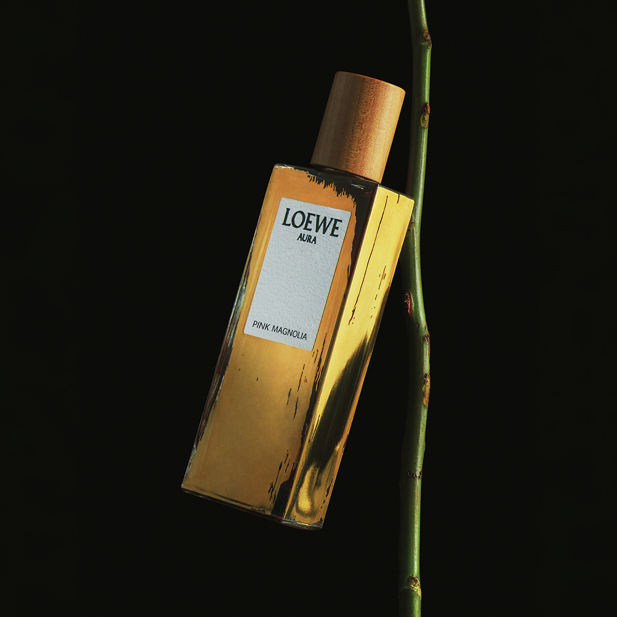 LOEWE - Aura Pink Magnolia Eau de Parfum