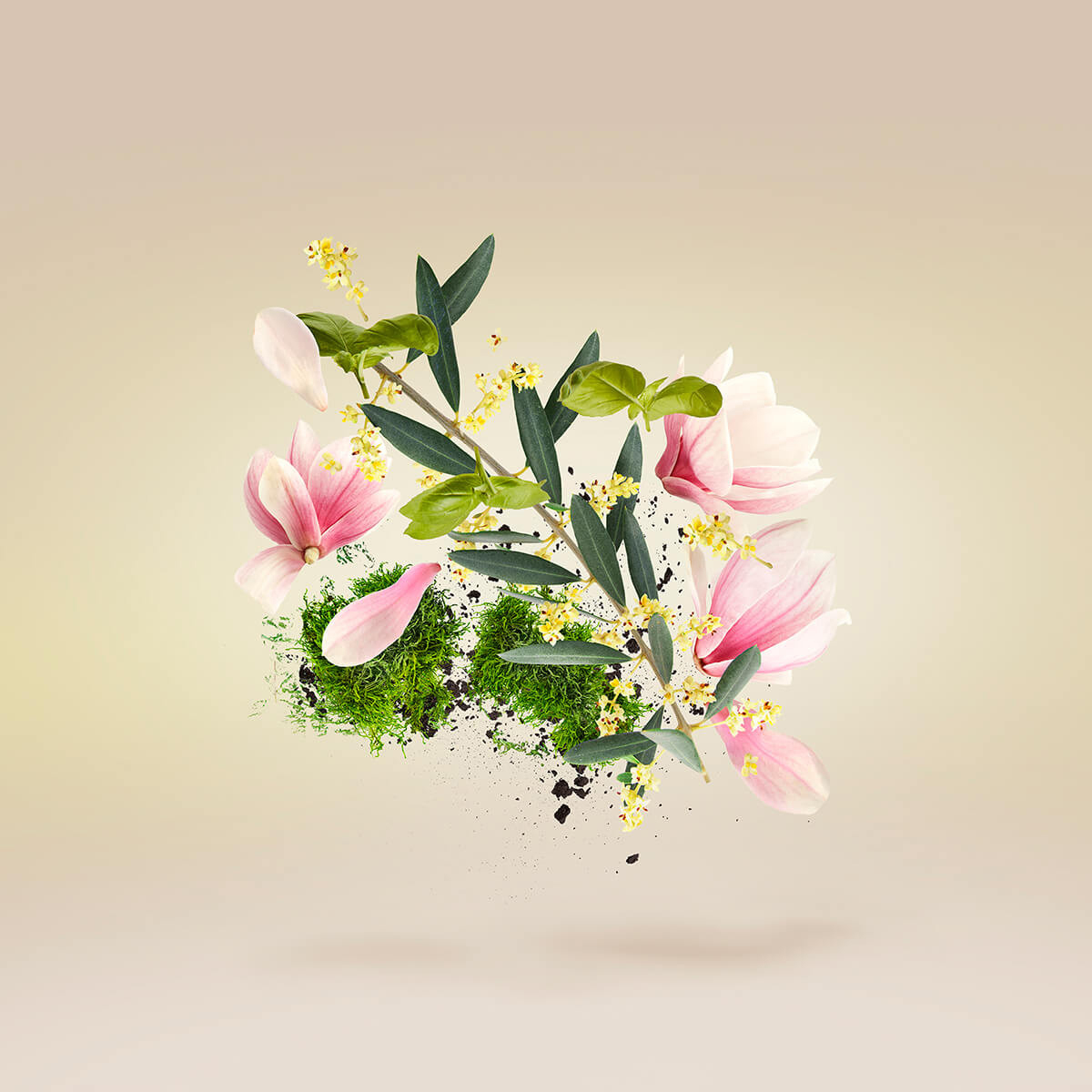 Casamorati - Fiore D'Ulive Eau de Parfum