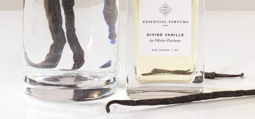 Vanilla in perfumes – everything about this gourmand note